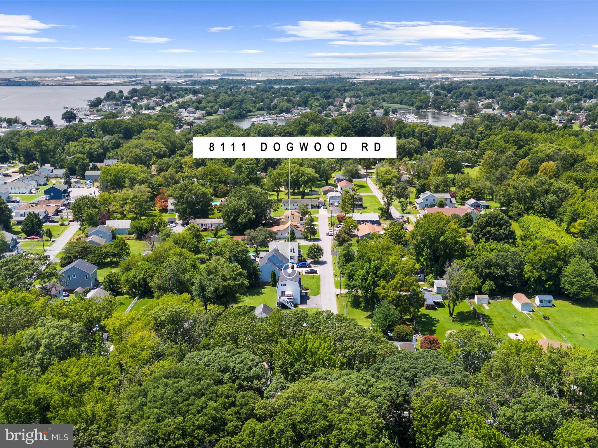 8111 DOGWOOD