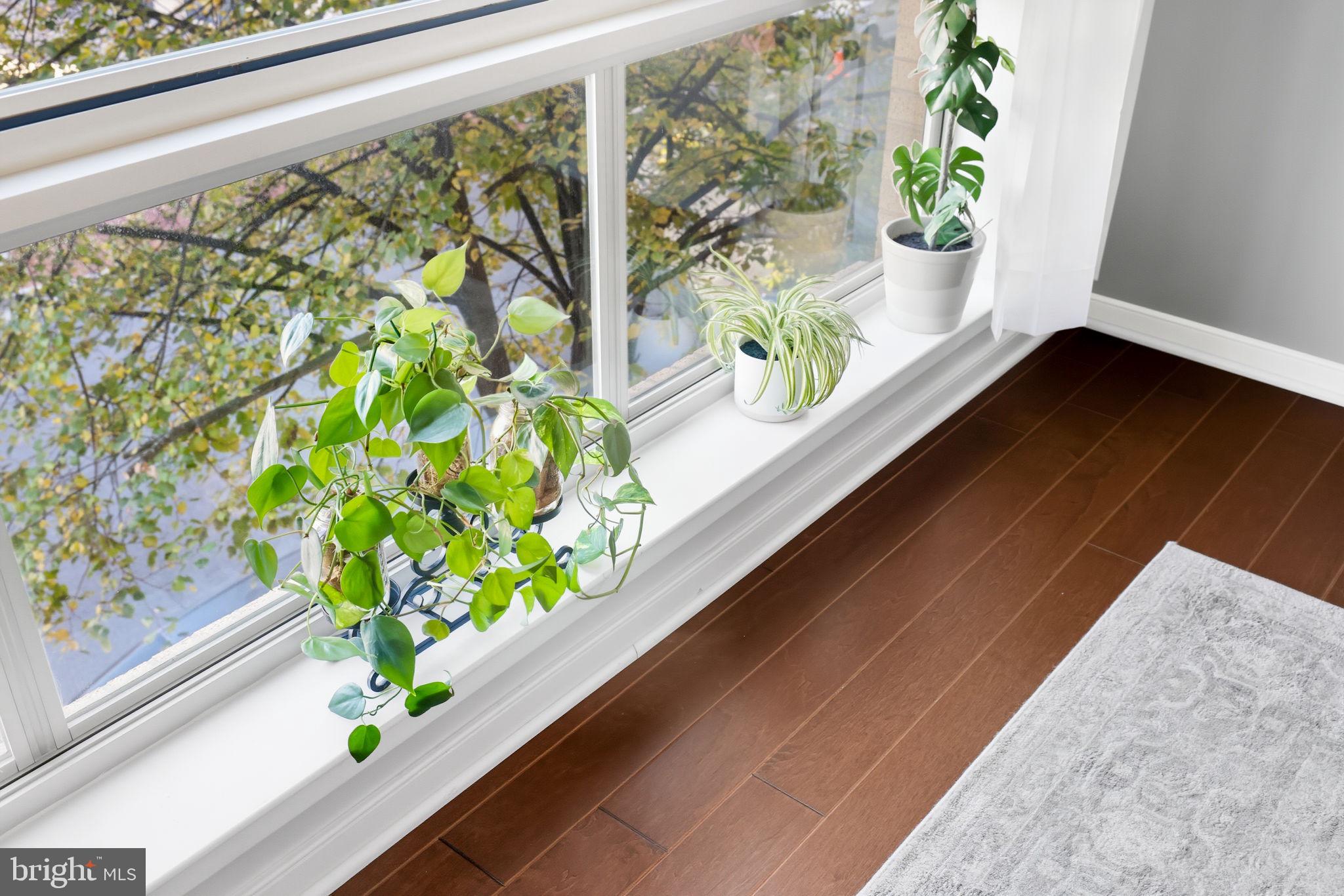 2200 N WESTMORELAND STREET 202