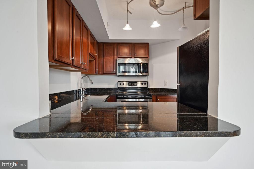 1001 N RANDOLPH STREET 608