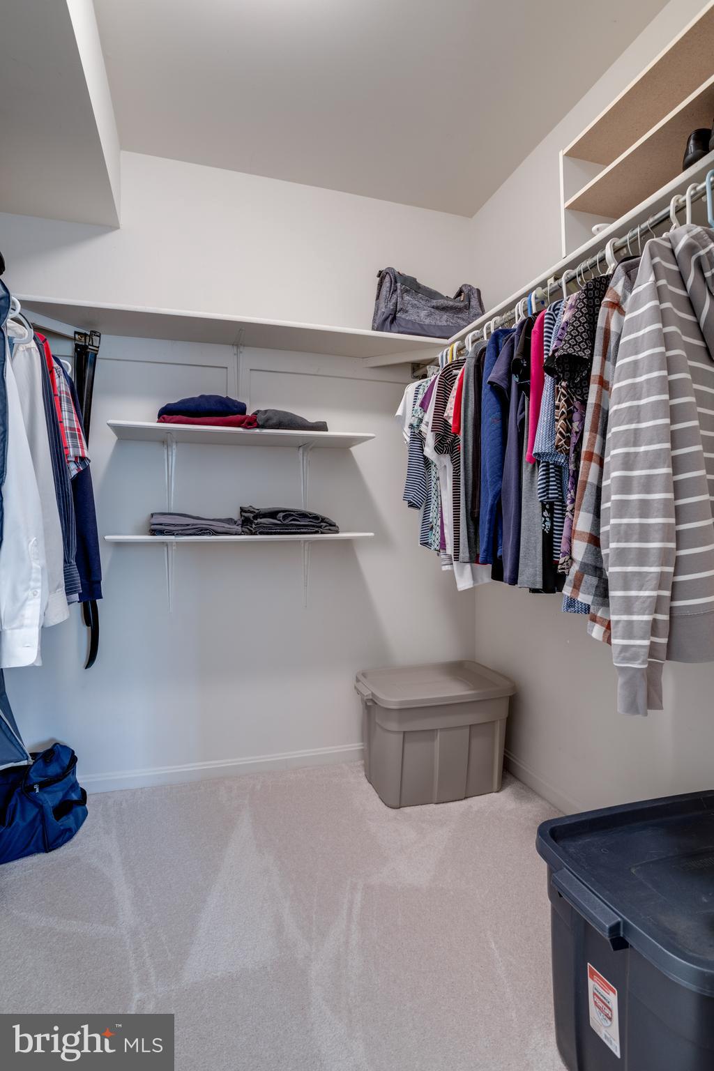 7201 BURTON HILL COURT