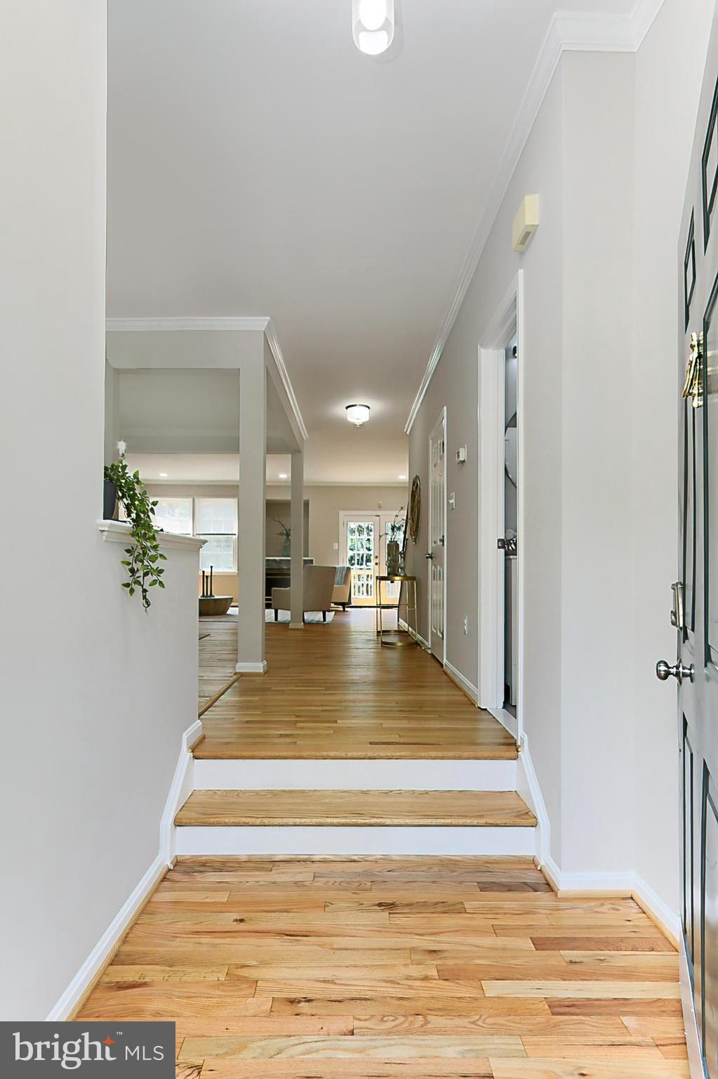 6495 ENGLISH IVY COURT