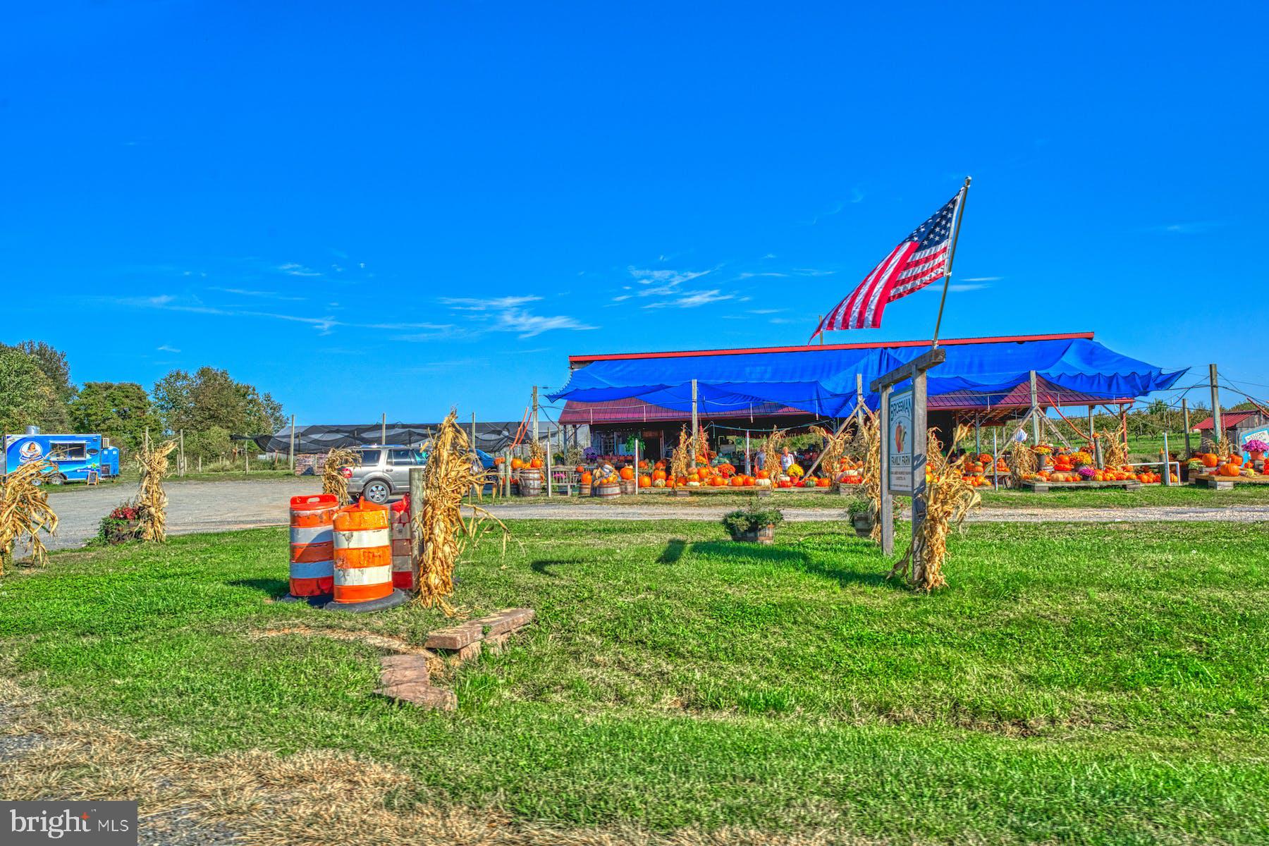 42993 Buna Mae Ln