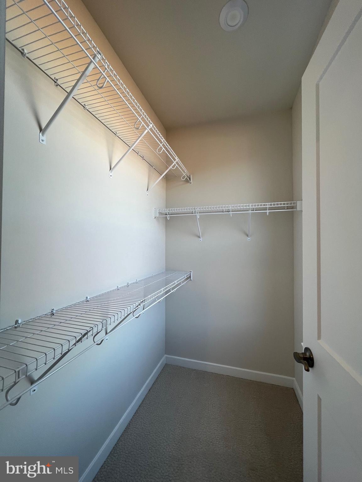 44581 WOLFHOUND SQUARE