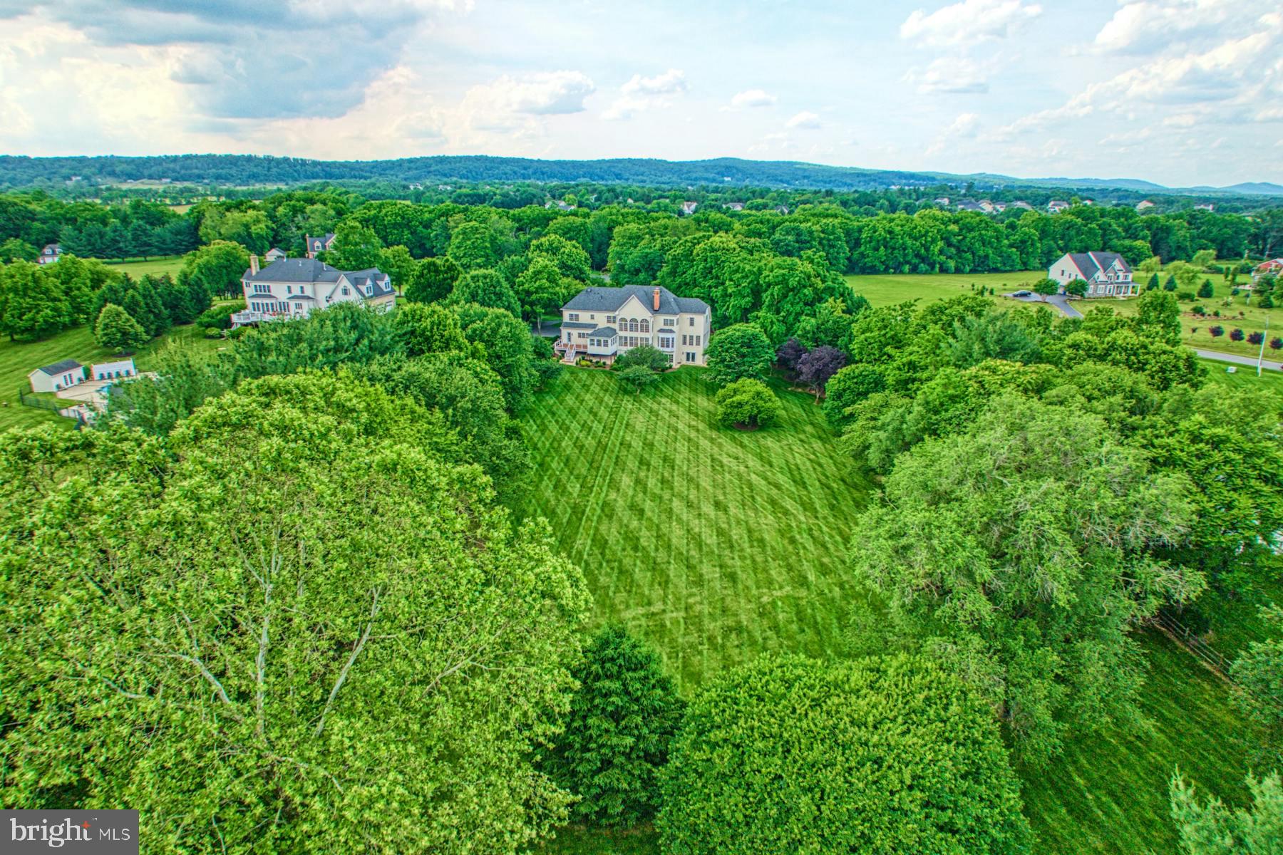 42041 Saddlebrook Pl