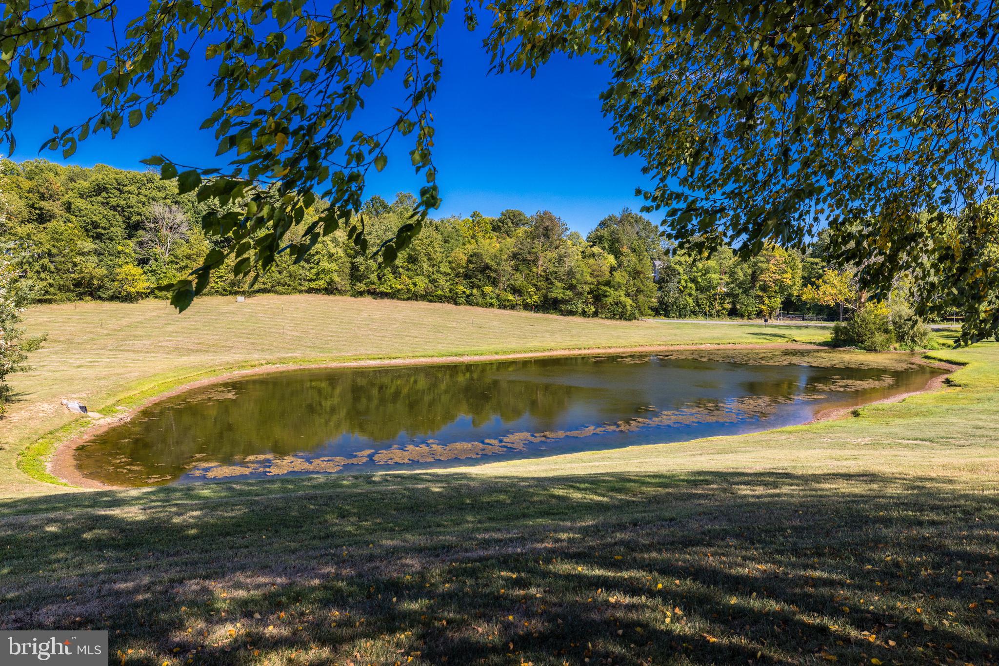22609 HILLSIDE CIRCLE