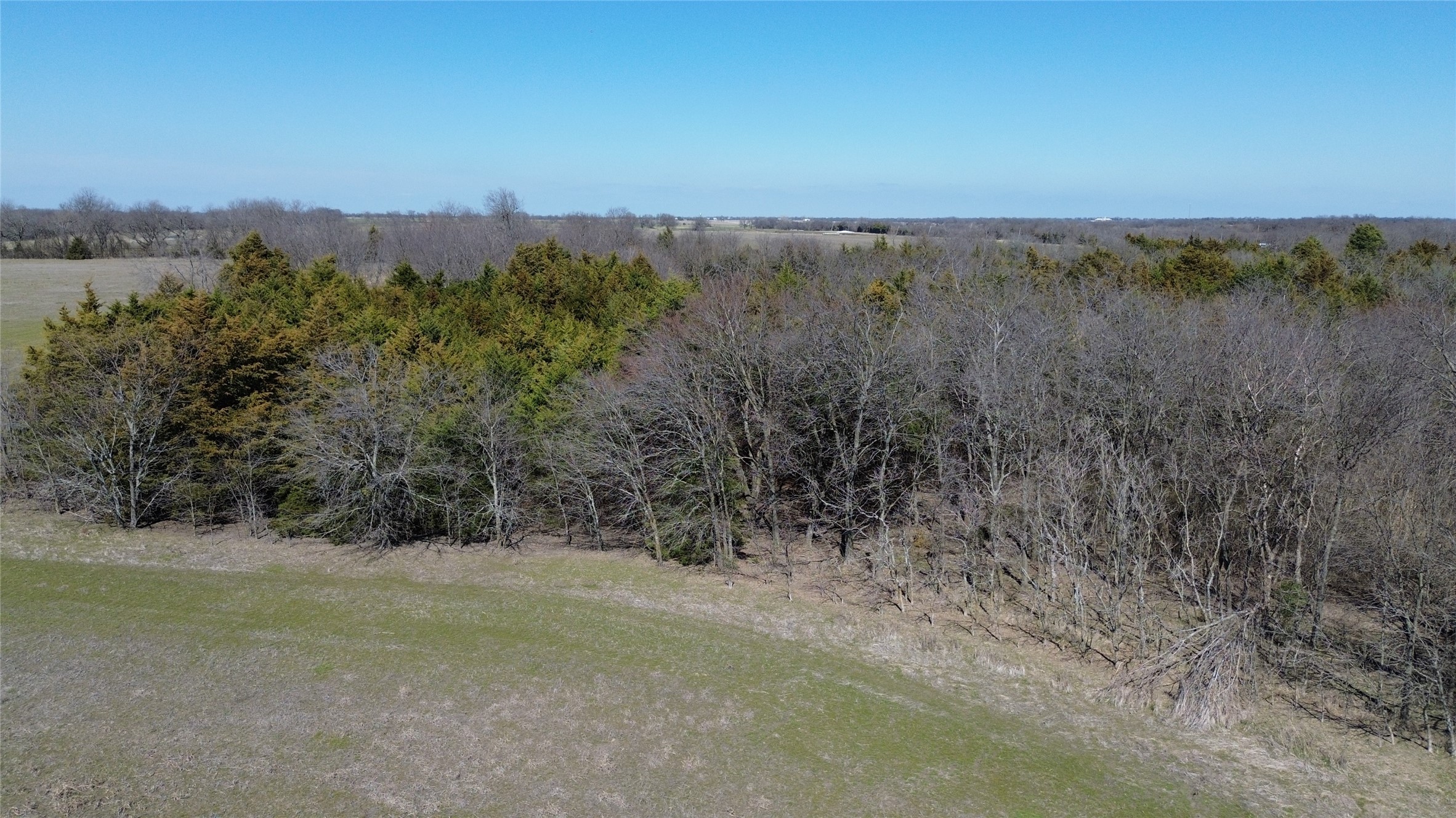 66.8 Acres County Road 1135, Leonard, TX