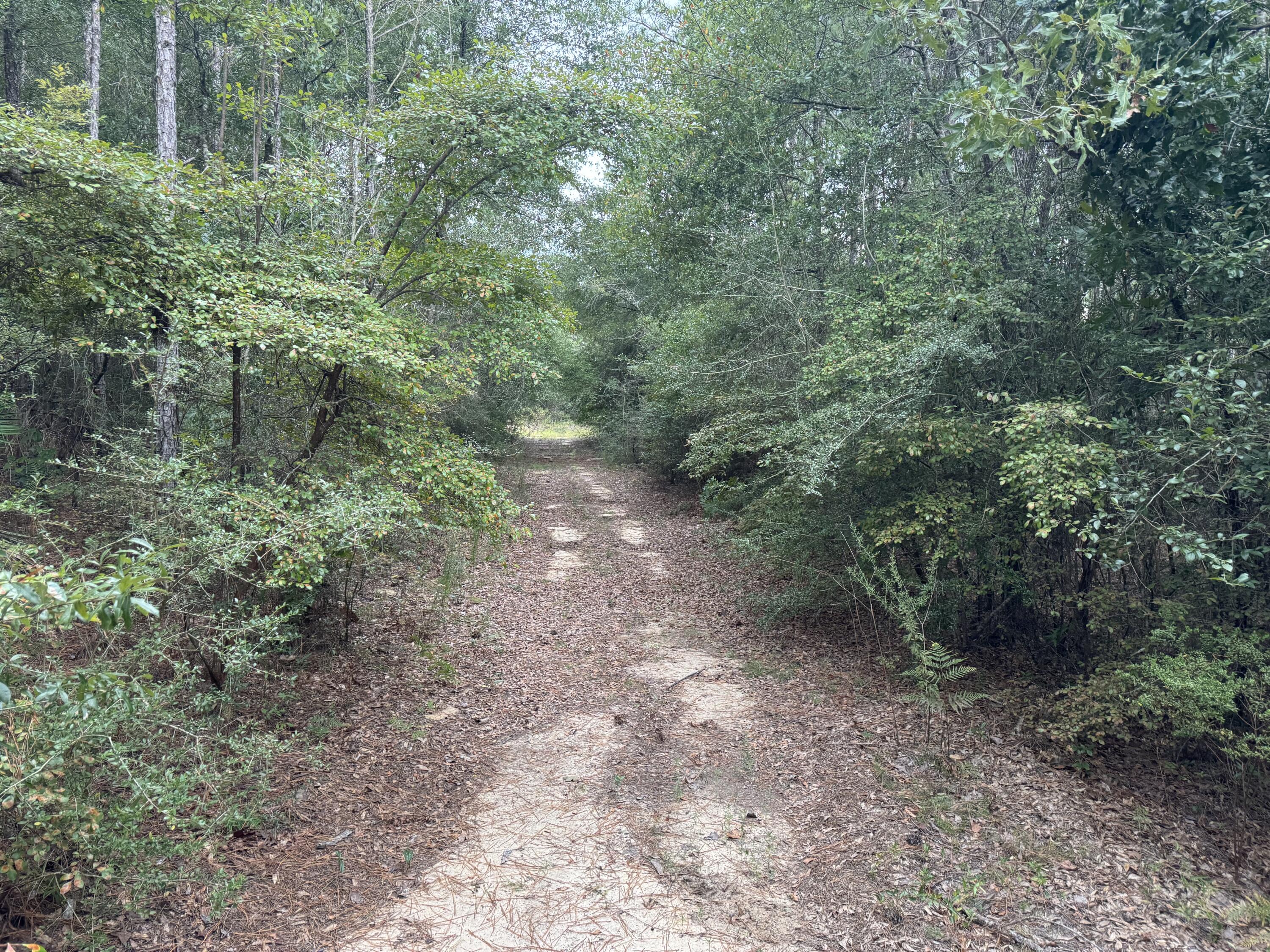 3080 CANYON Trail