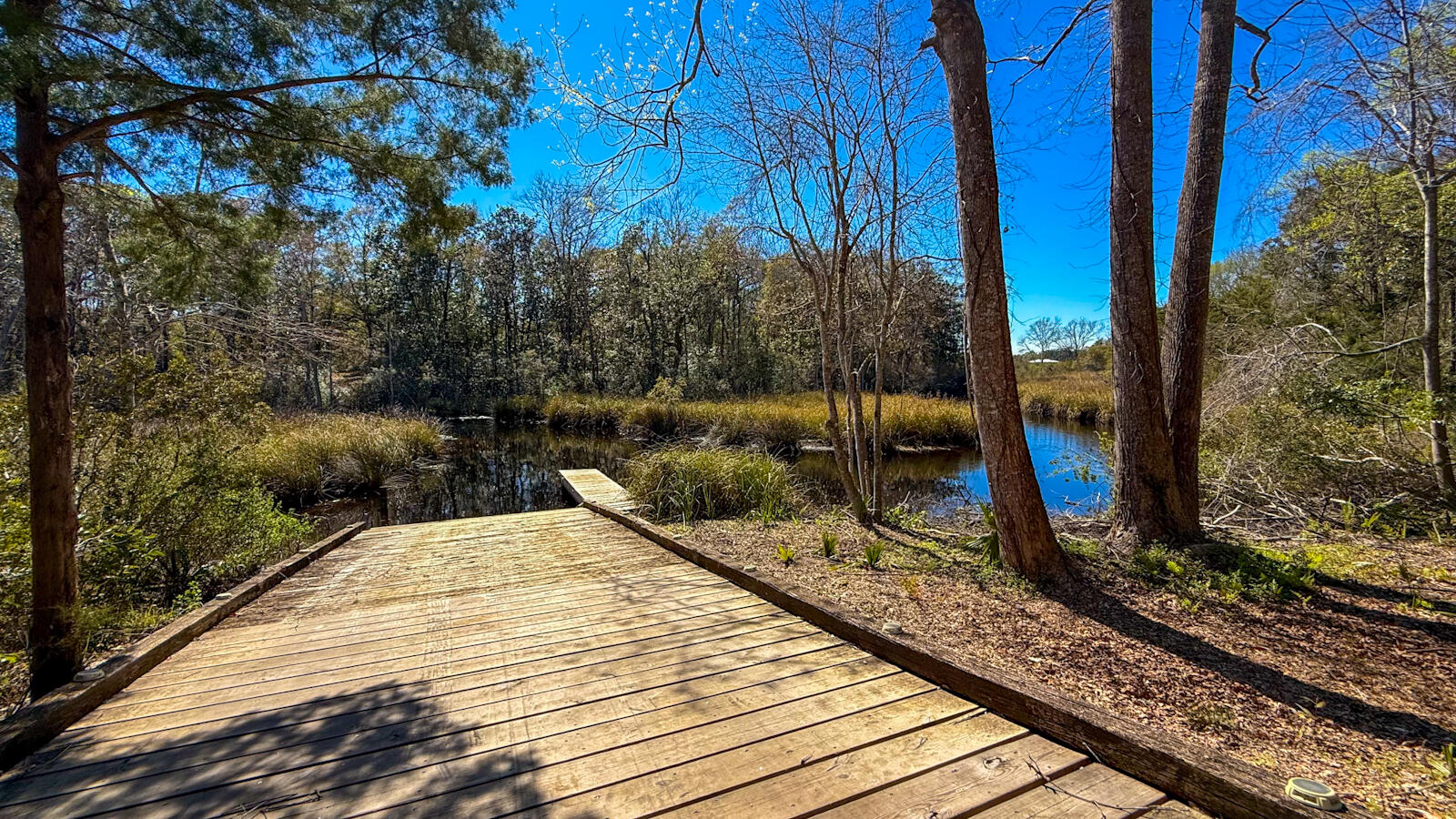 252 Waterview Cove Drive