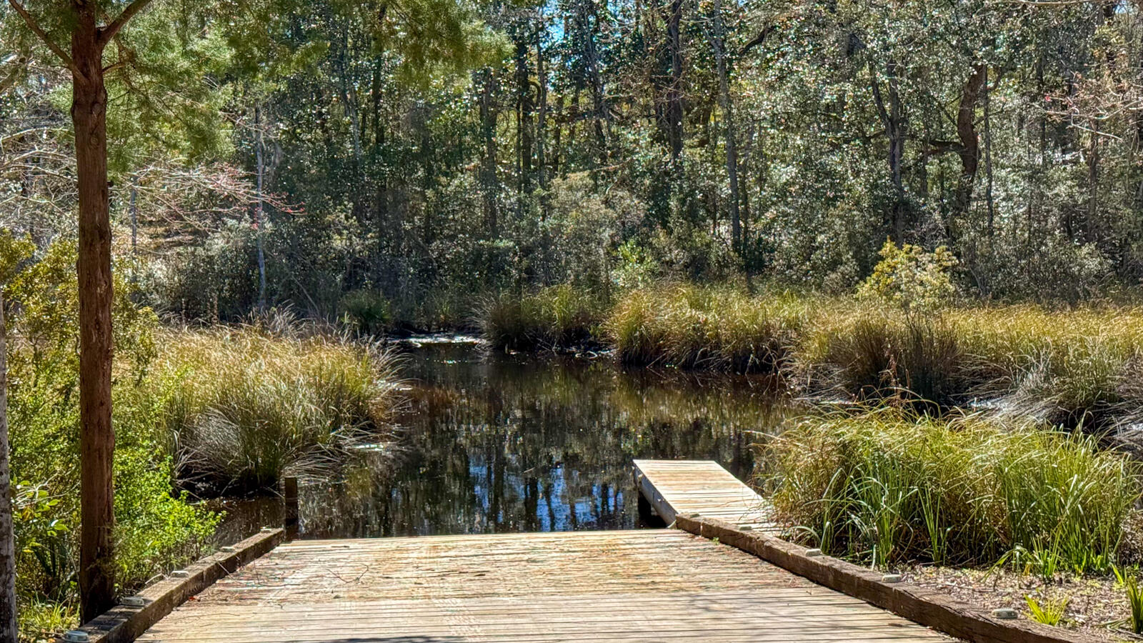 252 Waterview Cove Drive