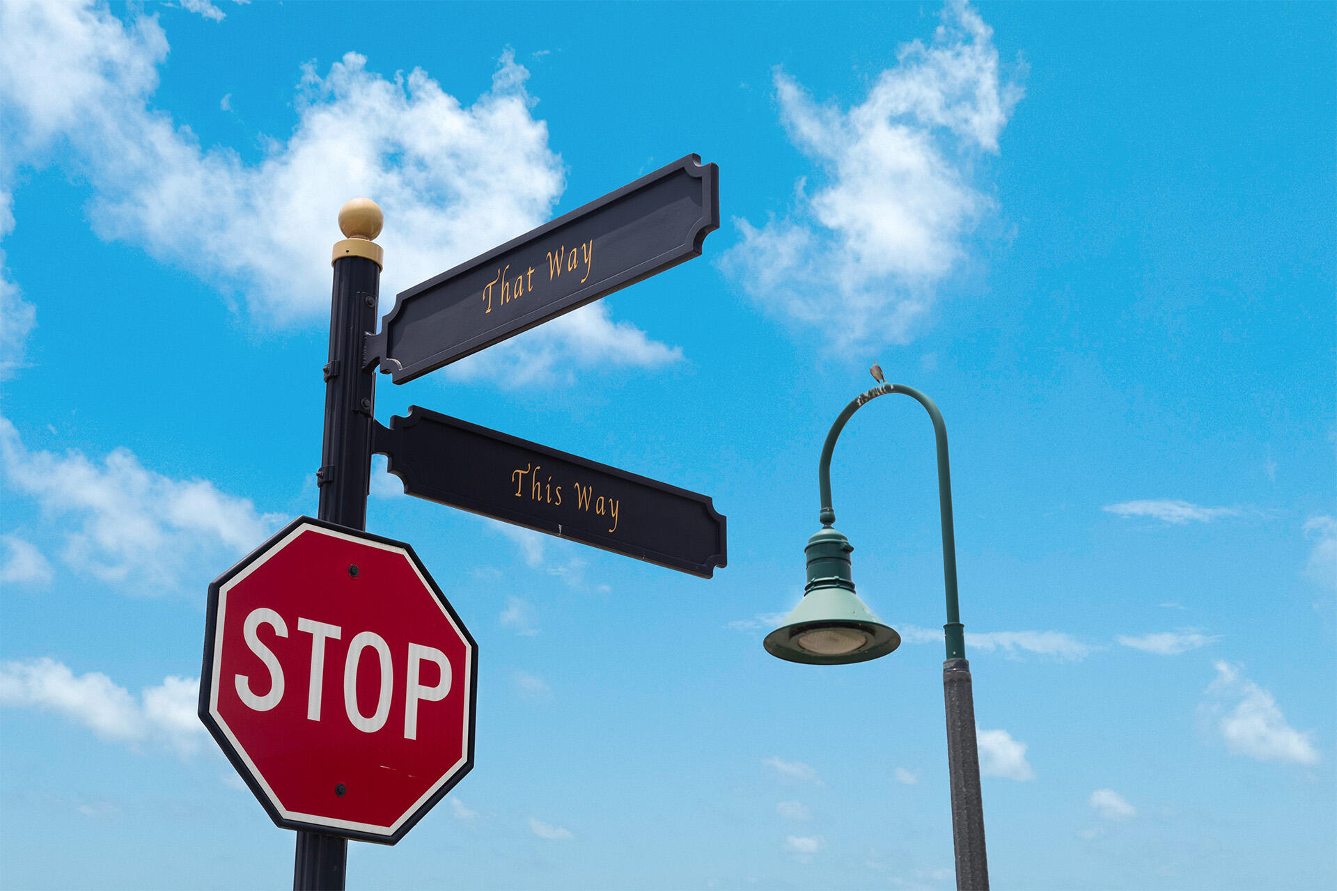 192 This Way