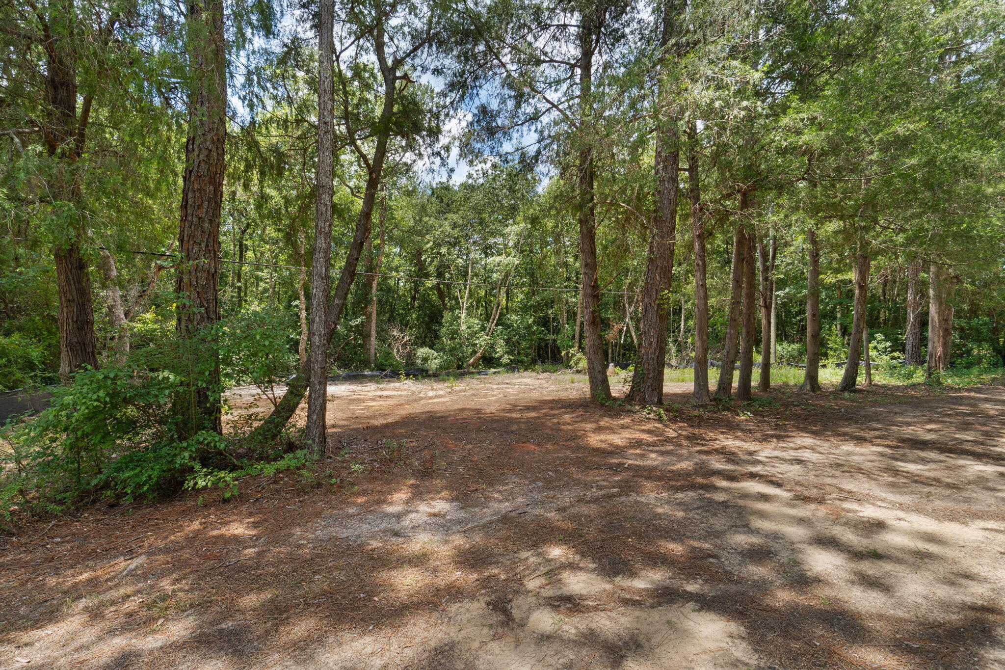 11263 Bobcat Trail