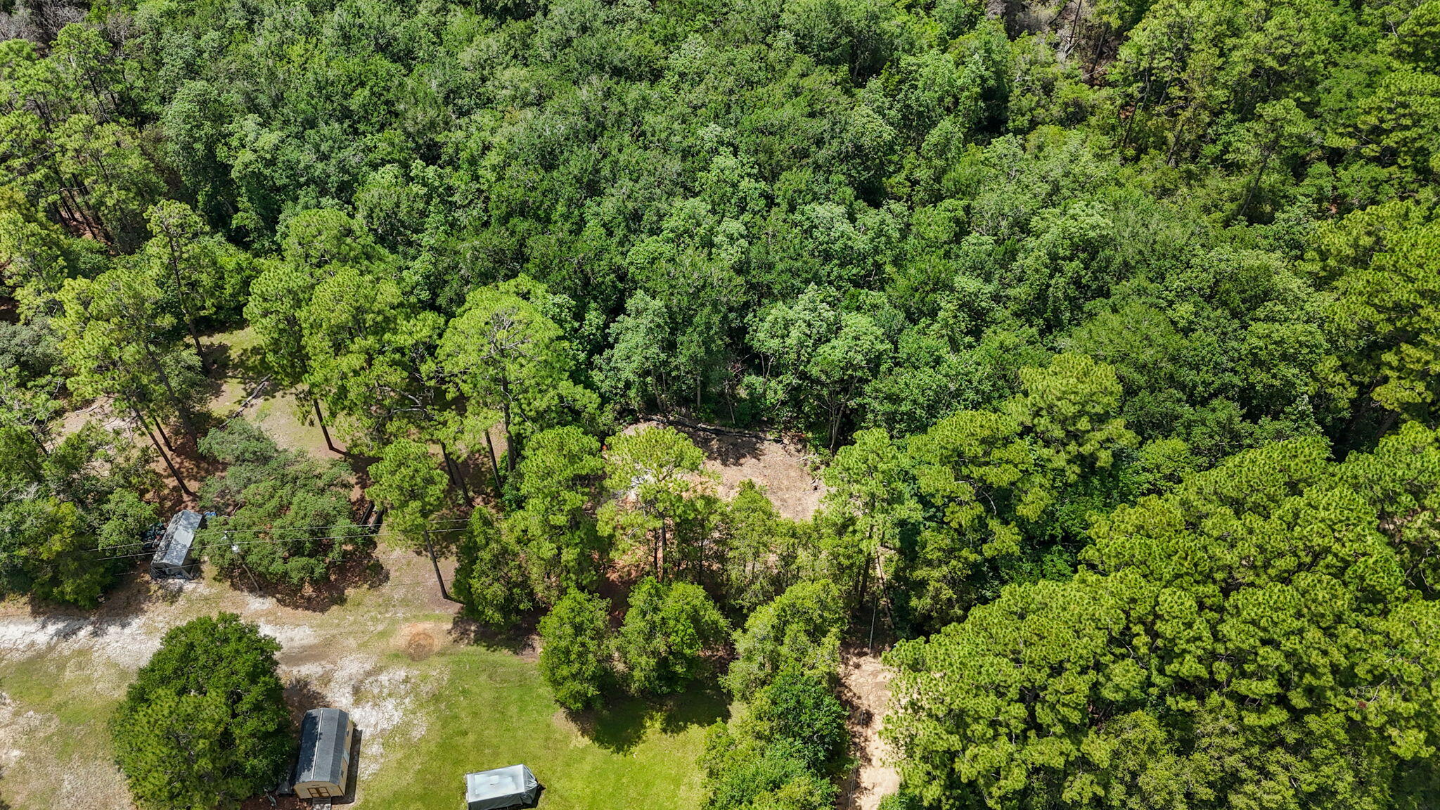 11263 Bobcat Trail