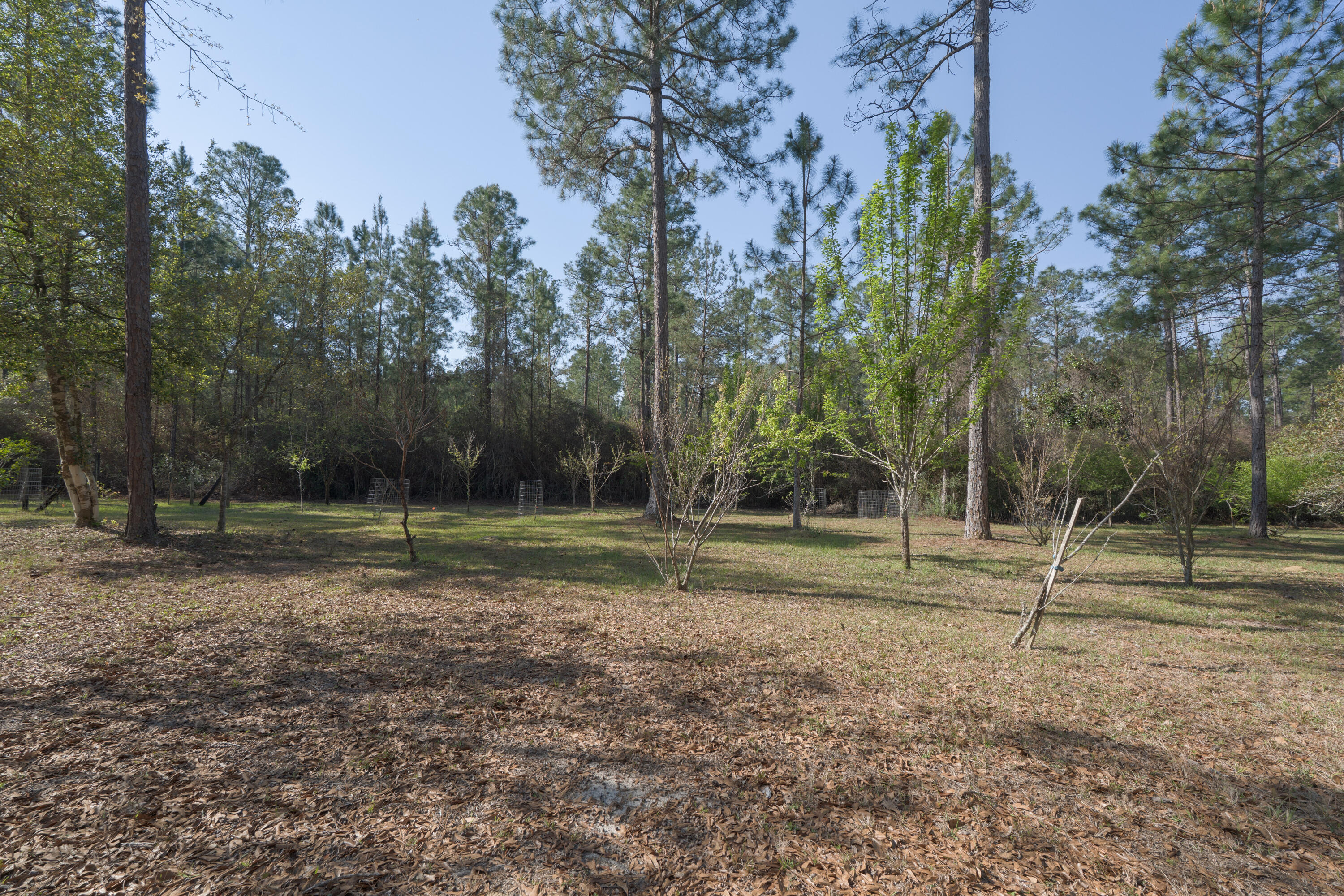 1482 N Planters Drive