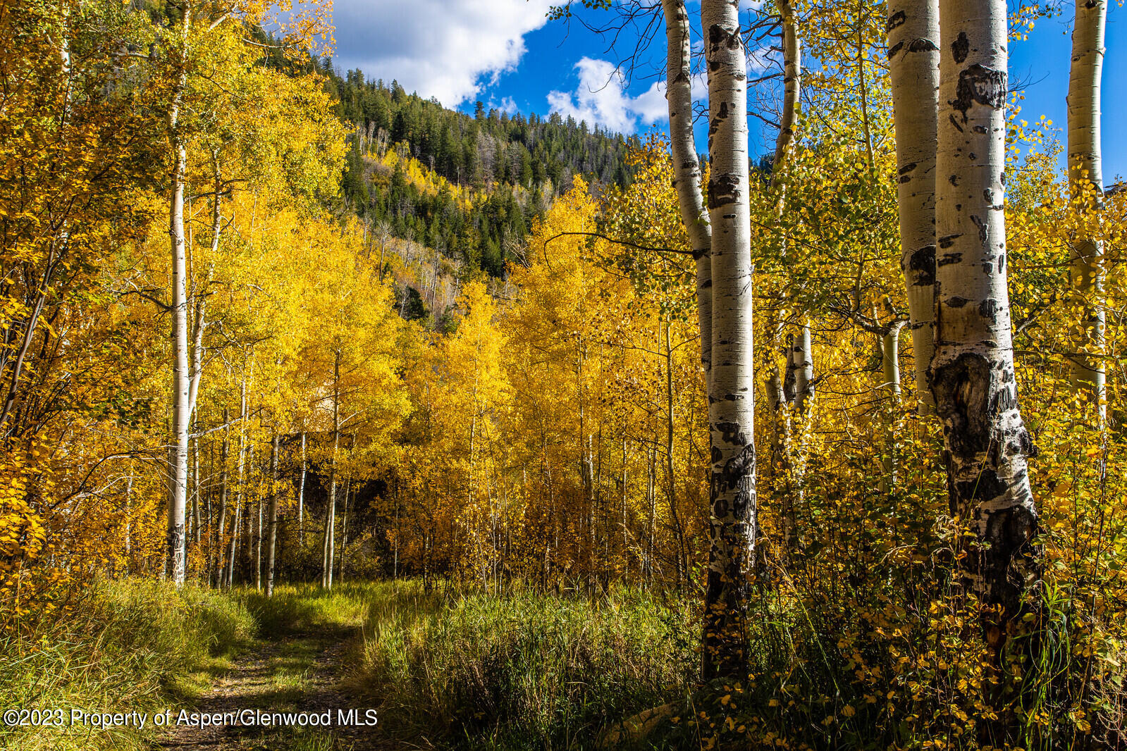 13701 County Road 245