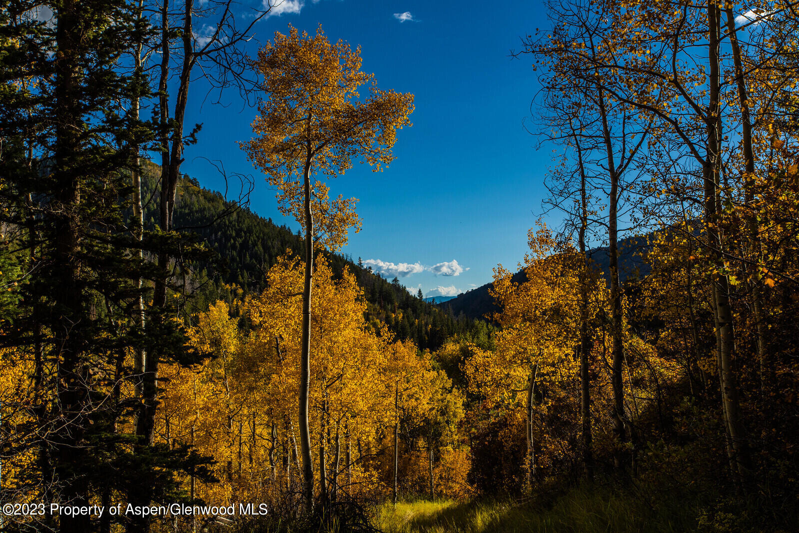 13701 County Road 245