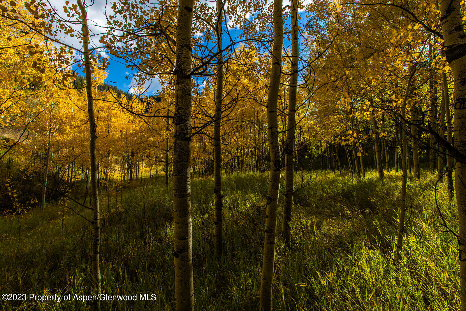 13701 County Road 245