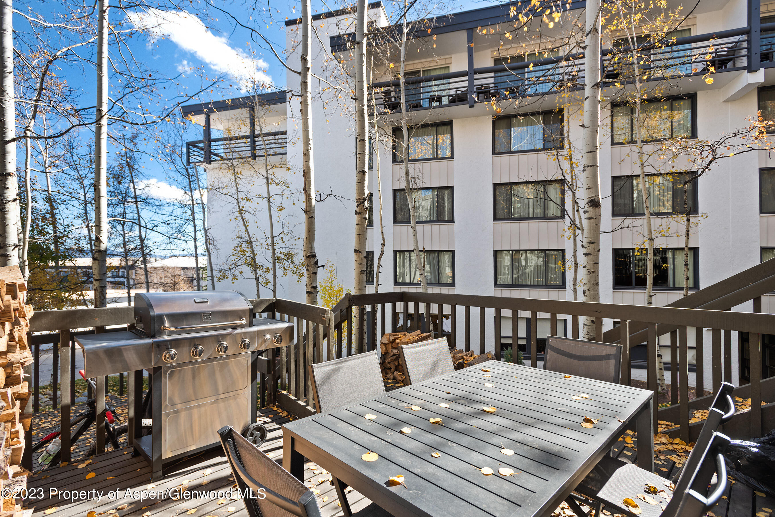 60 Fall Lane Unit: #3