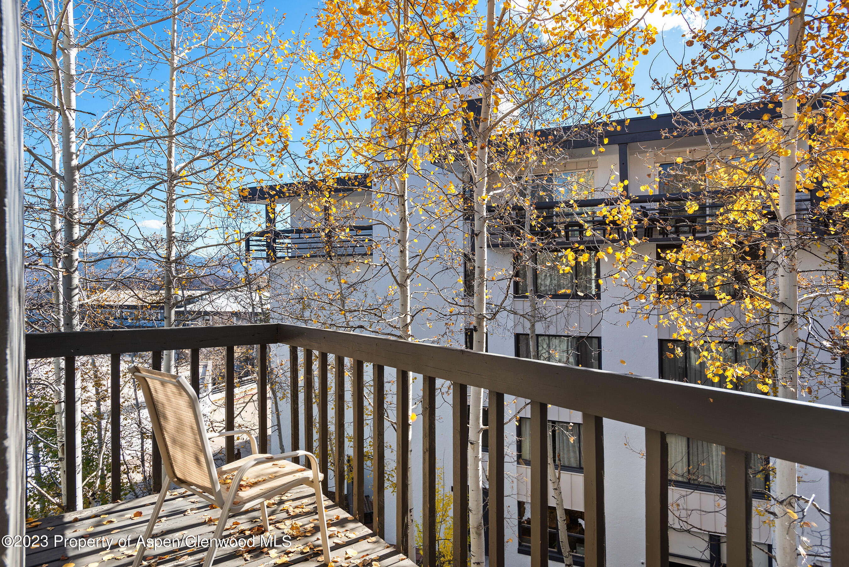 60 Fall Lane Unit: #3