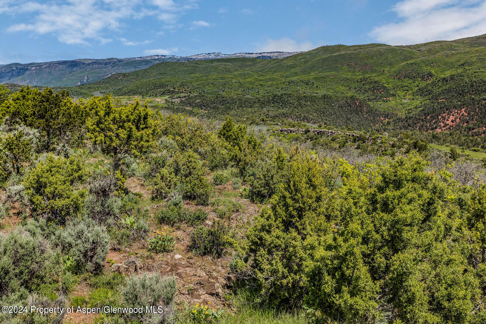 523 Sage Valley Road