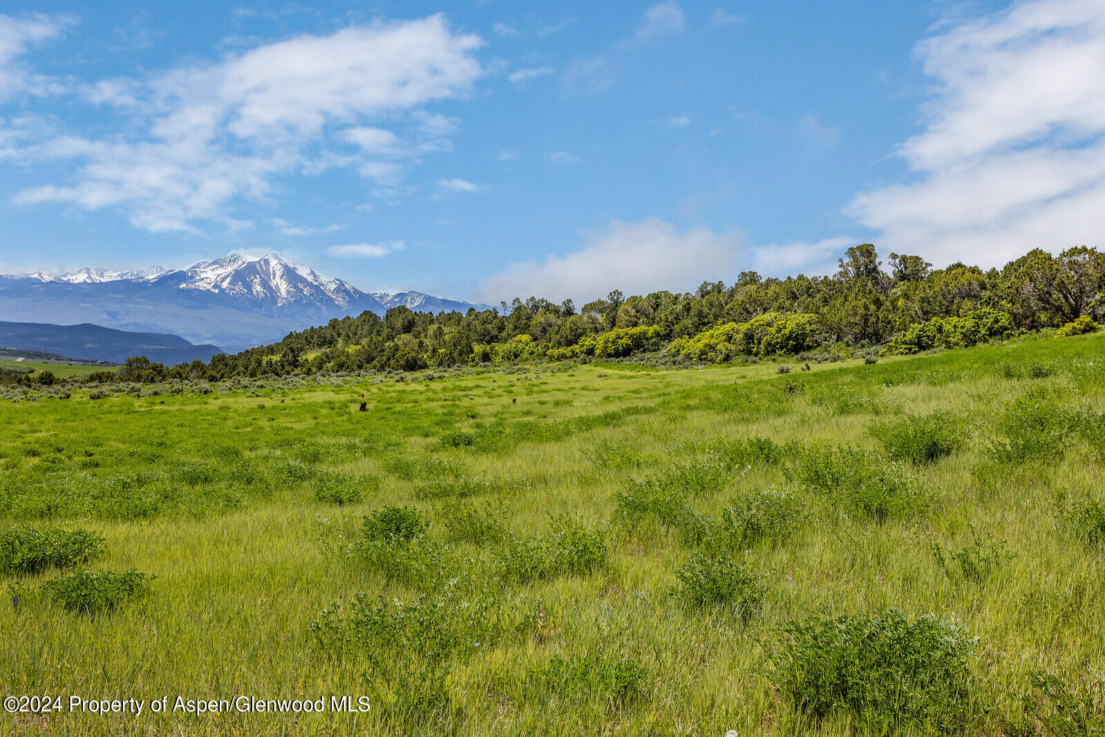 523 Sage Valley Road