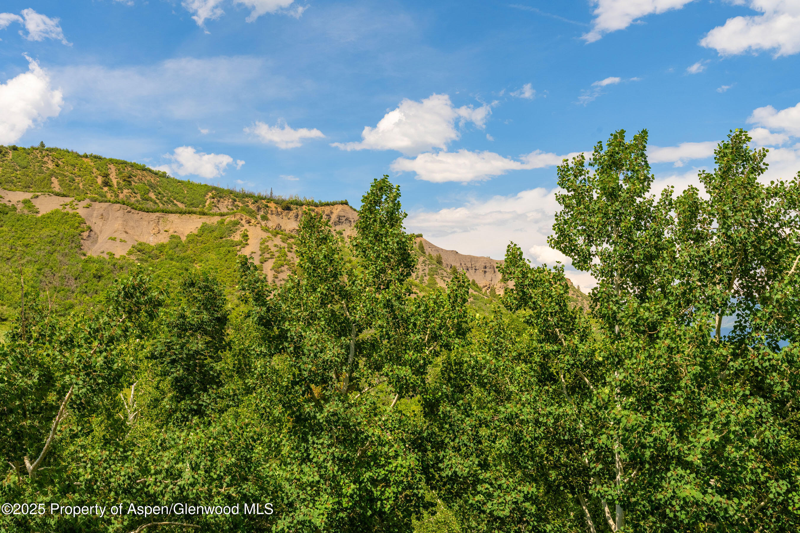 300 Carriage Way, 603