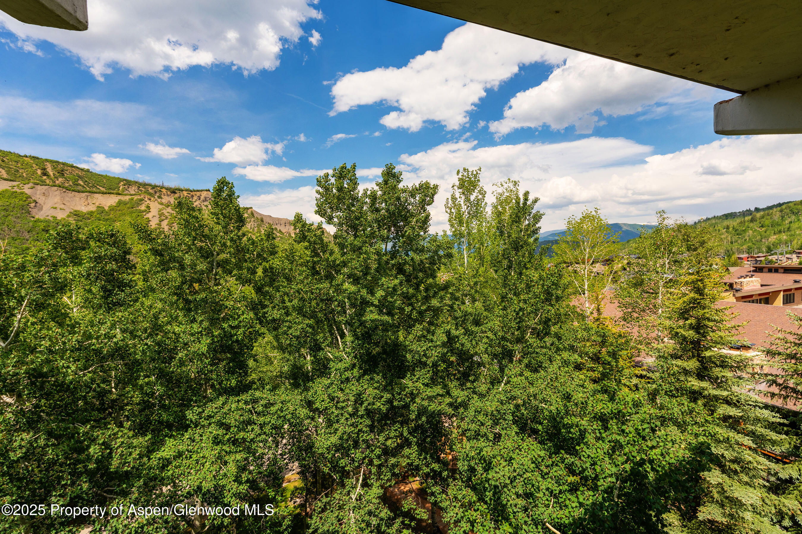 300 Carriage Way, 603