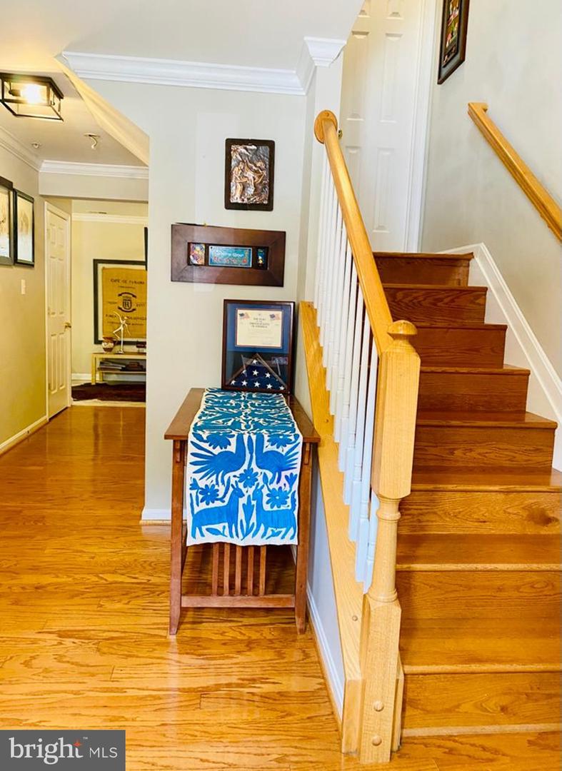 223 TILDEN WAY