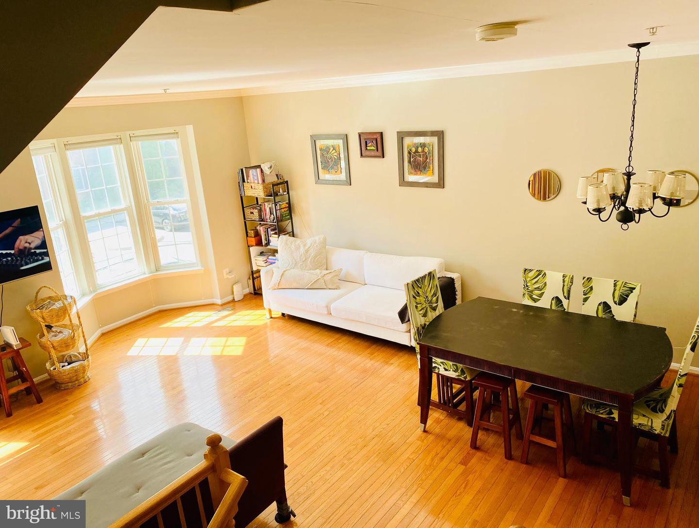 223 TILDEN WAY