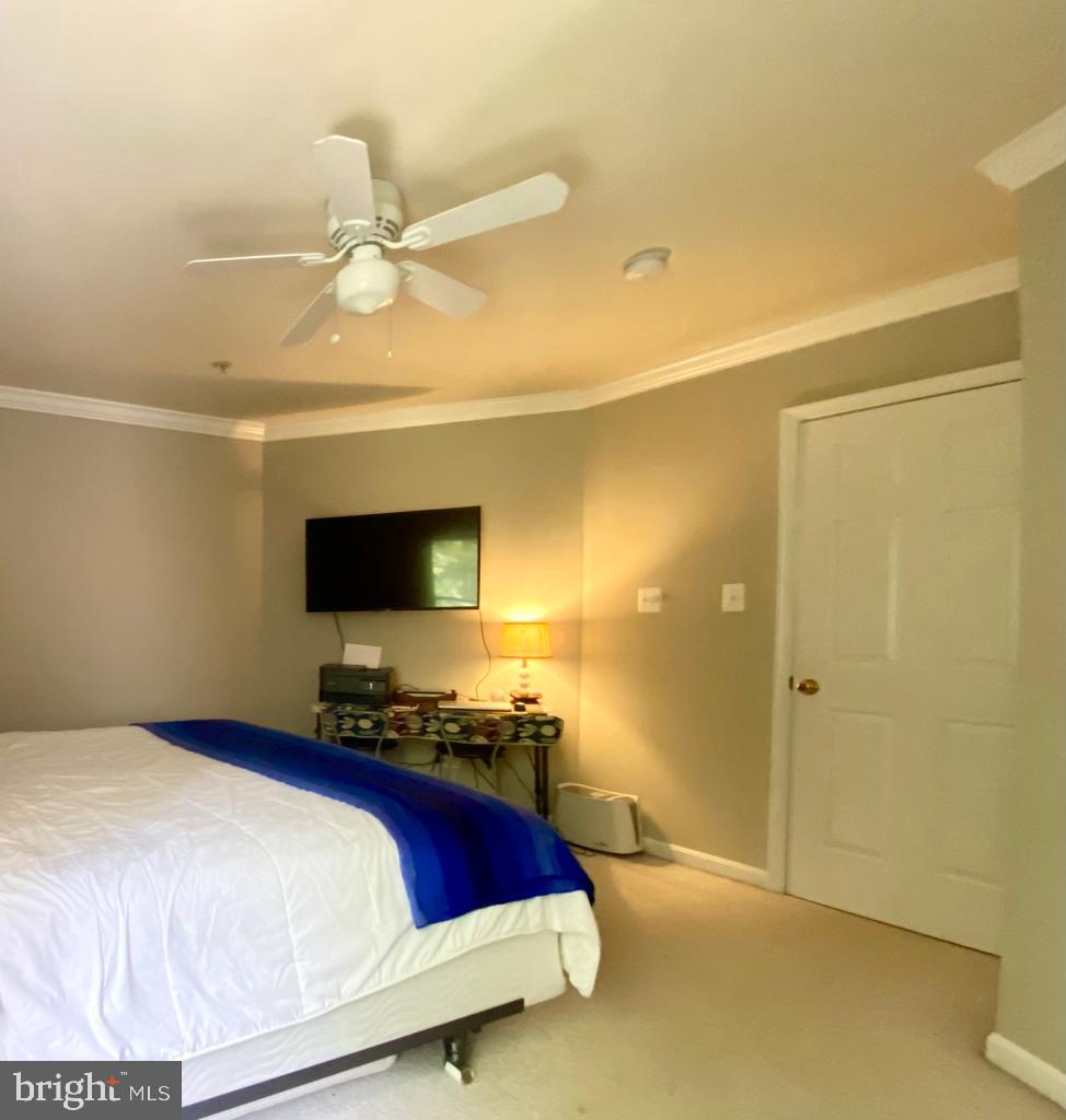 223 TILDEN WAY
