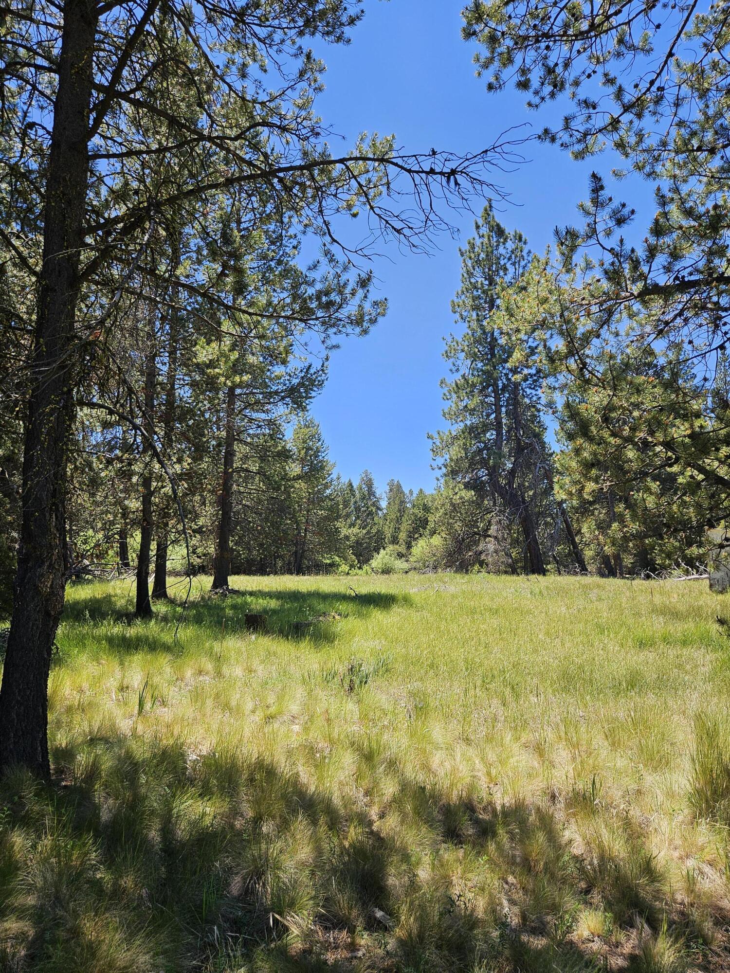 15466 15472 Cascade DR