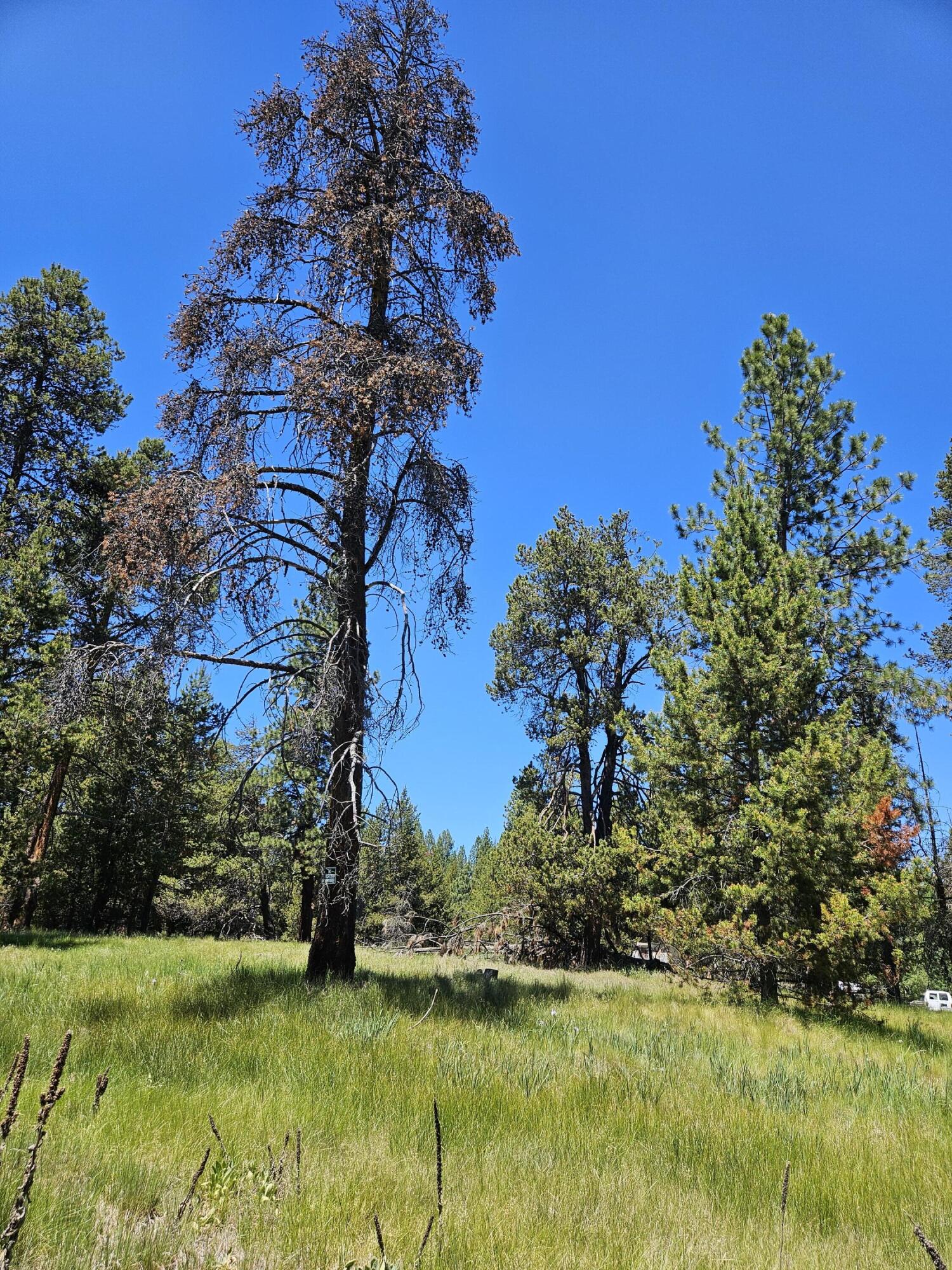 15466 15472 Cascade DR