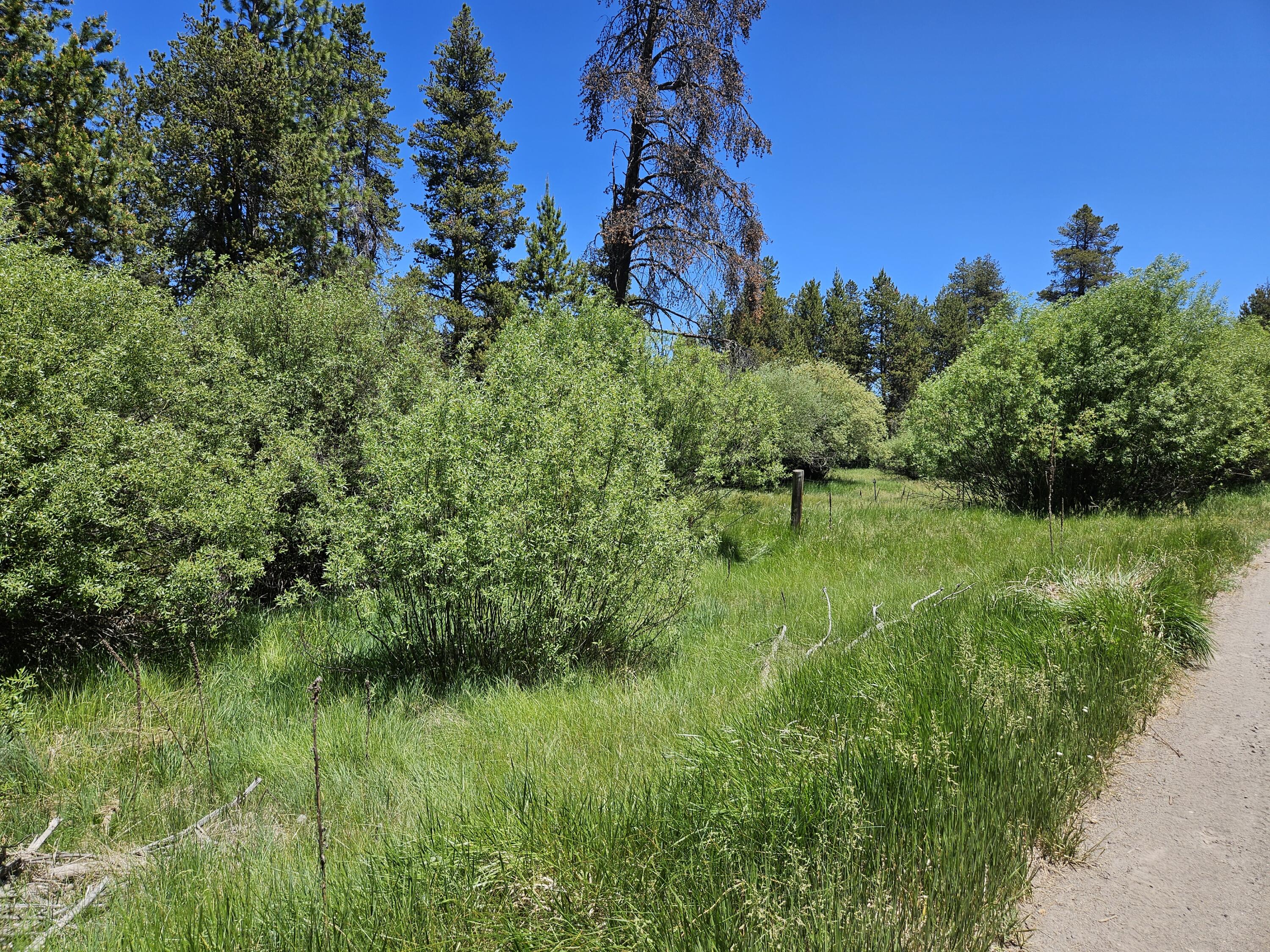 15466 15472 Cascade DR