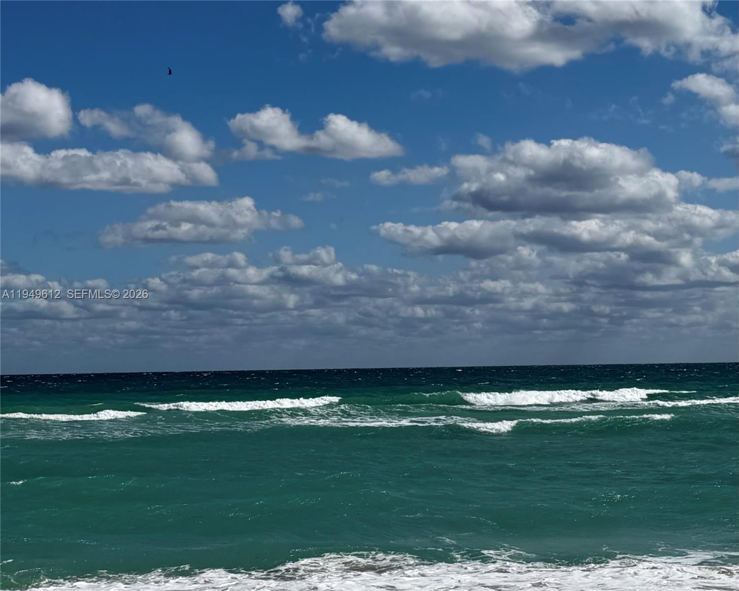 3505 S Ocean Dr # 311