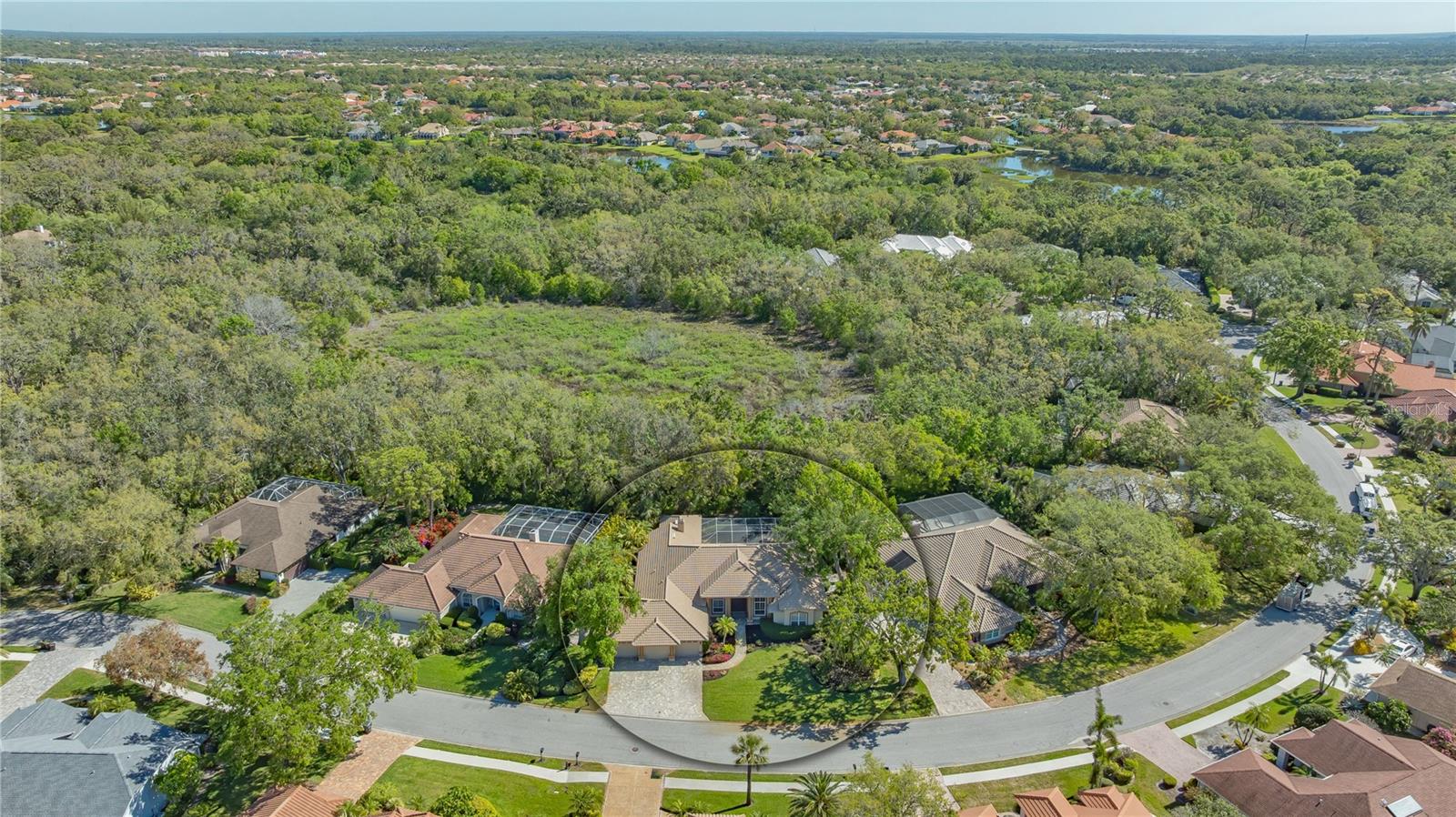 8504 WOODBRIAR DR