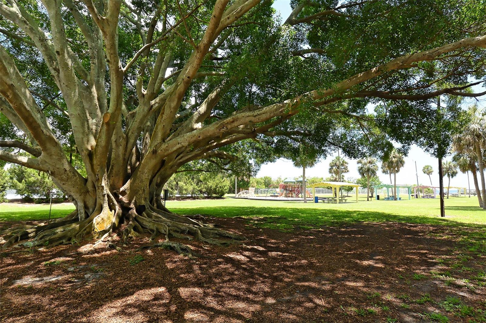 2808 60TH AVE W #1904