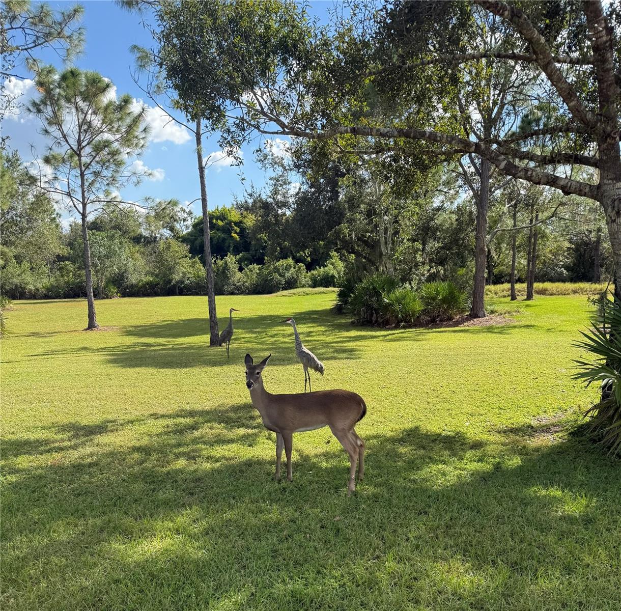 1408 OAK HAMMOCK RD