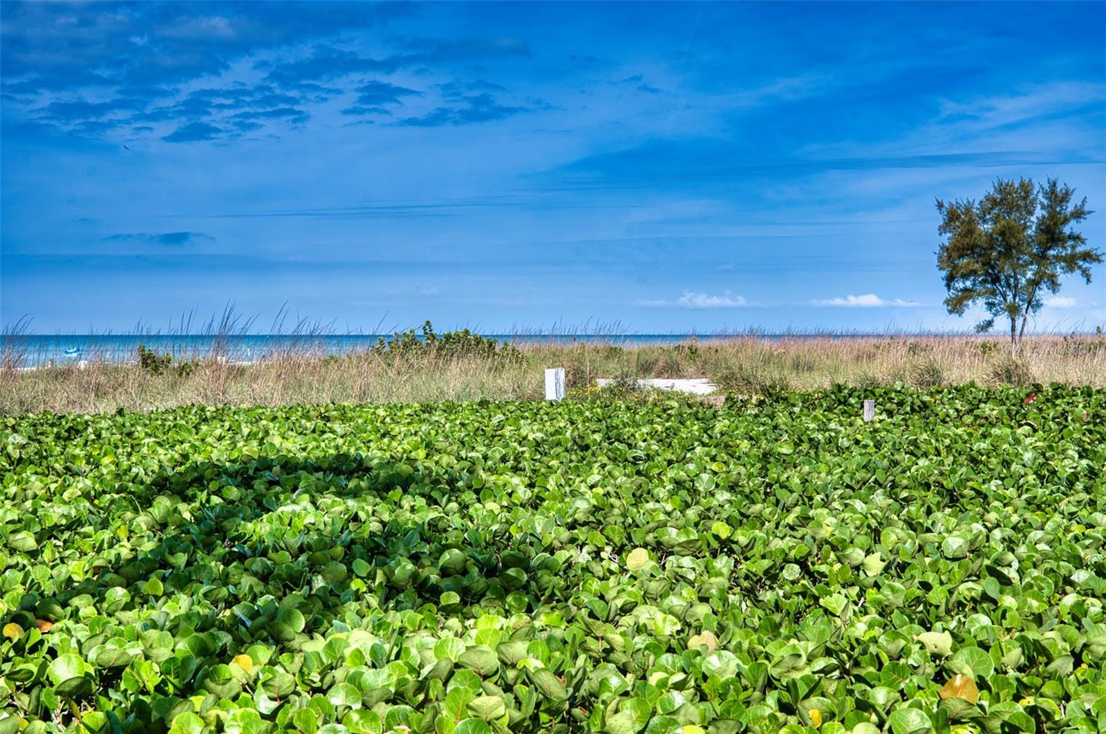 6701 GULF OF MEXICO DR #332