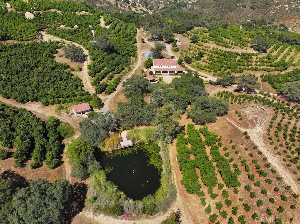 38149 De Luz Rd