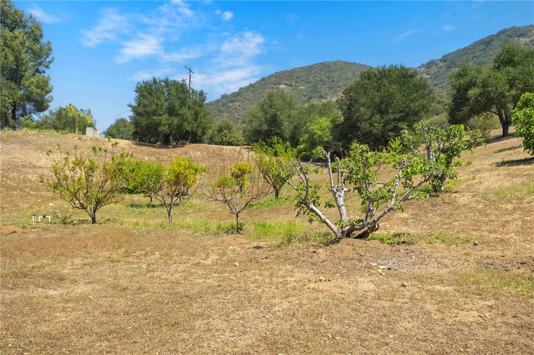 48980 De Luz Rd