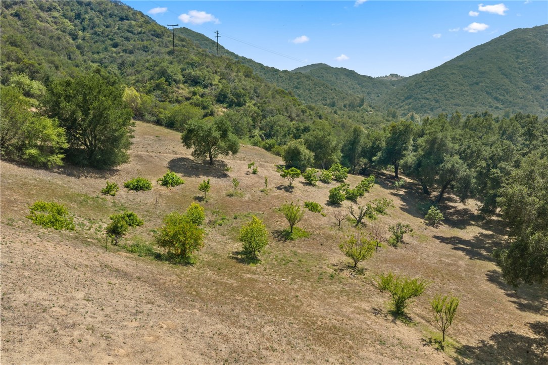 48980 De Luz Rd
