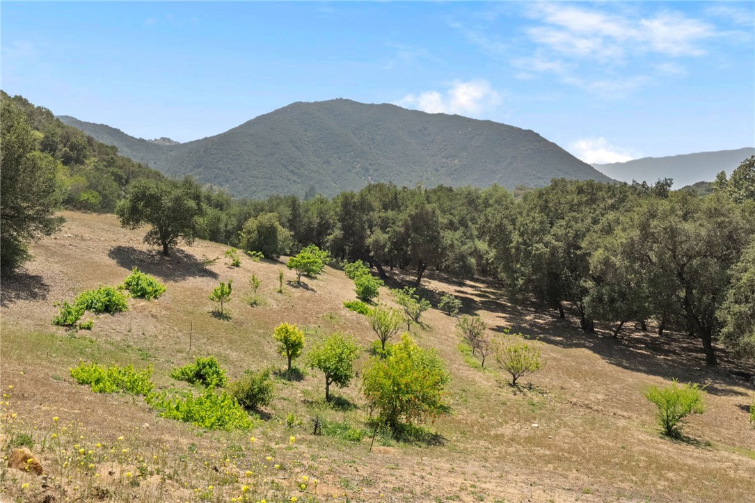 48980 De Luz Rd
