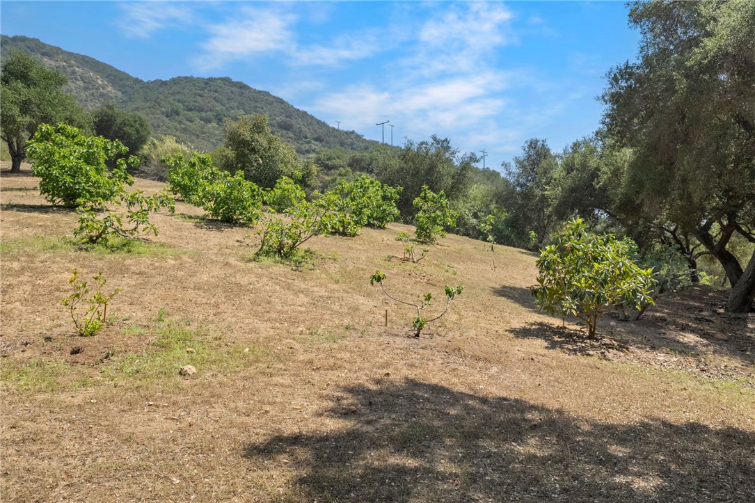 48980 De Luz Rd