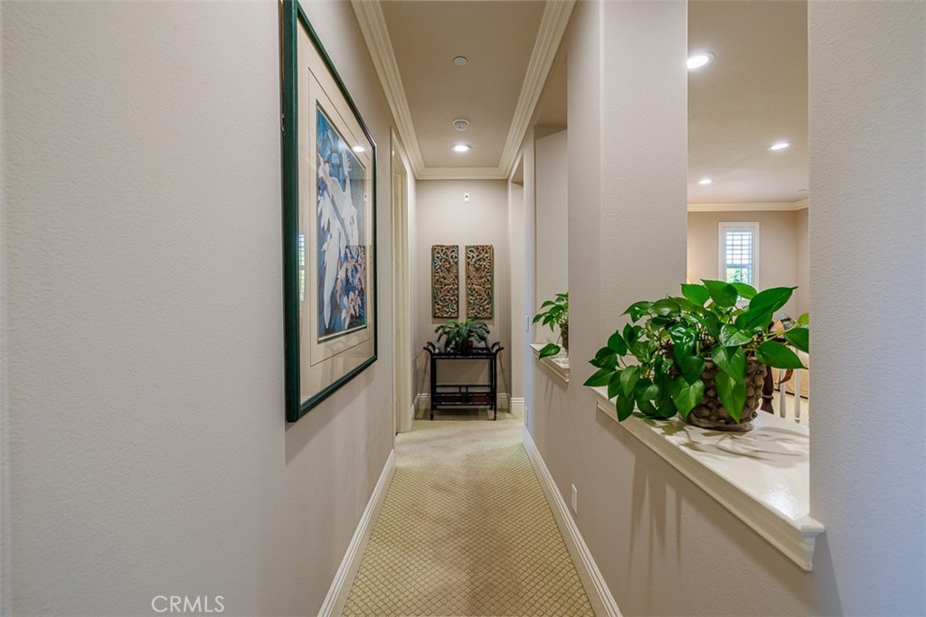 26582 Paseo Callado