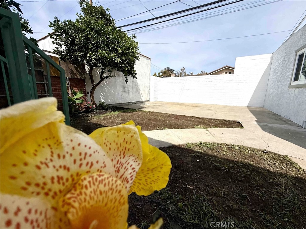 6072 Myrtle Avenue