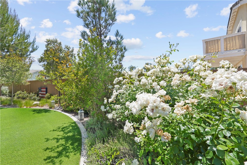 33581 Cedar Creek