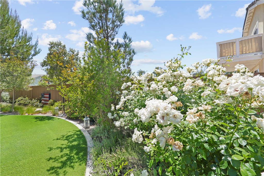 33581 Cedar Creek