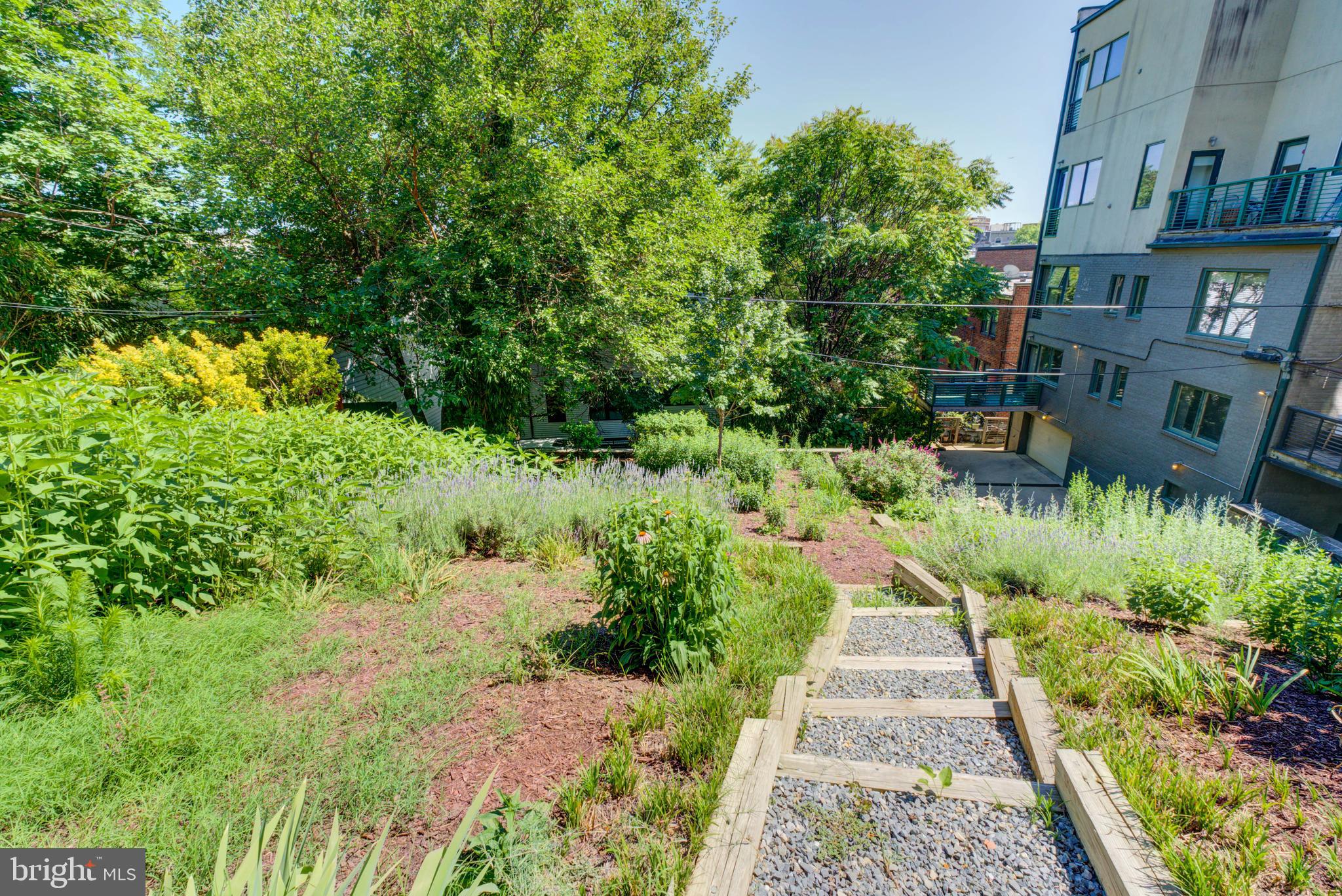 1468 BELMONT STREET NW 3E