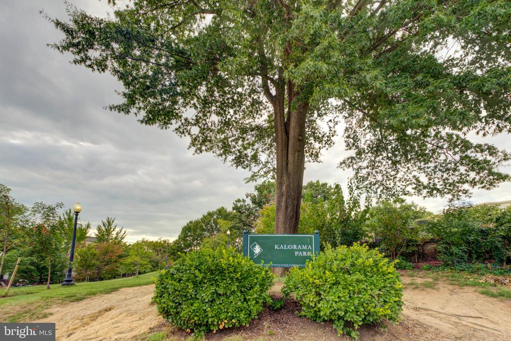 2311 CONNECTICUT AVENUE NW Unit: 405