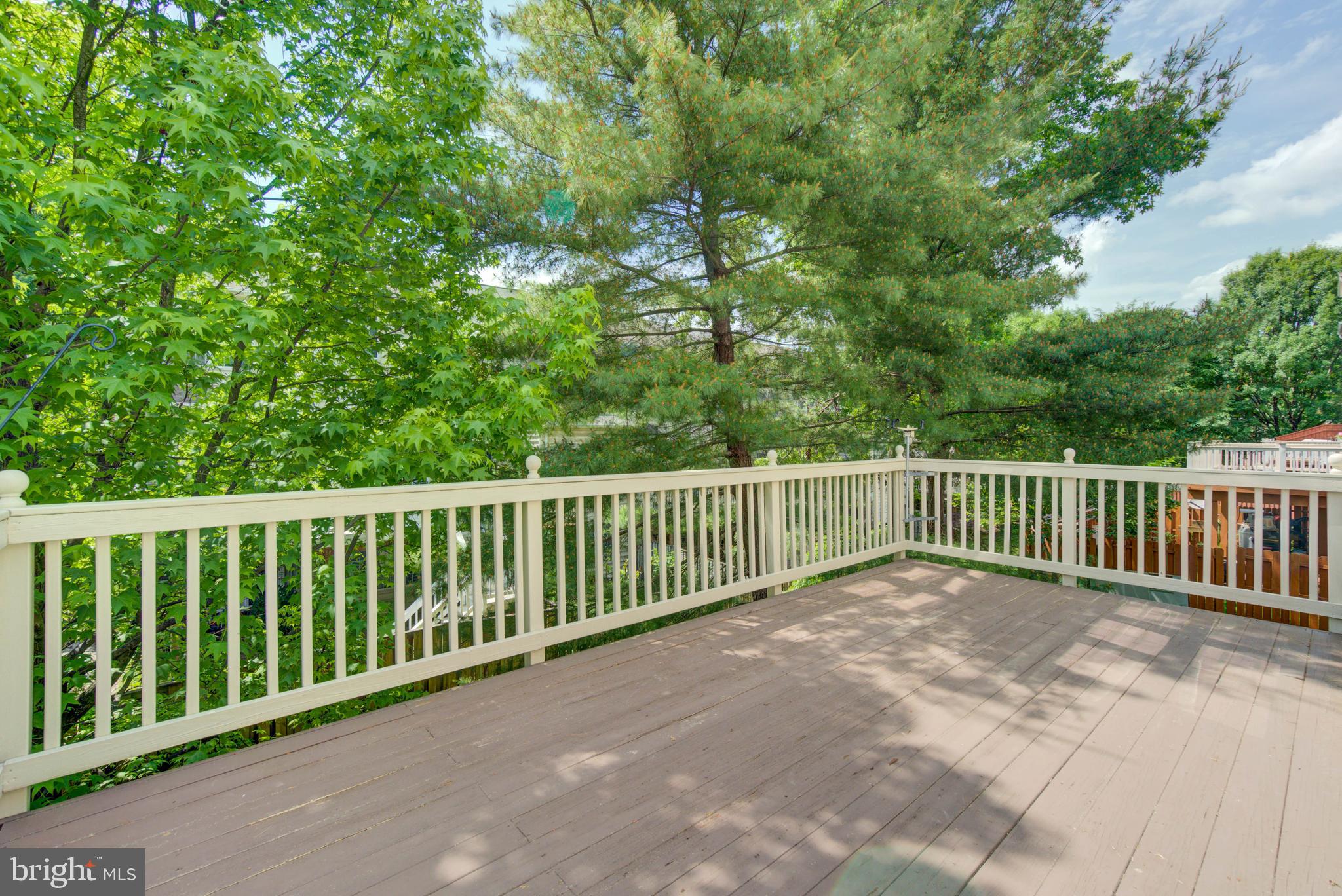 480 Winding Rose Dr