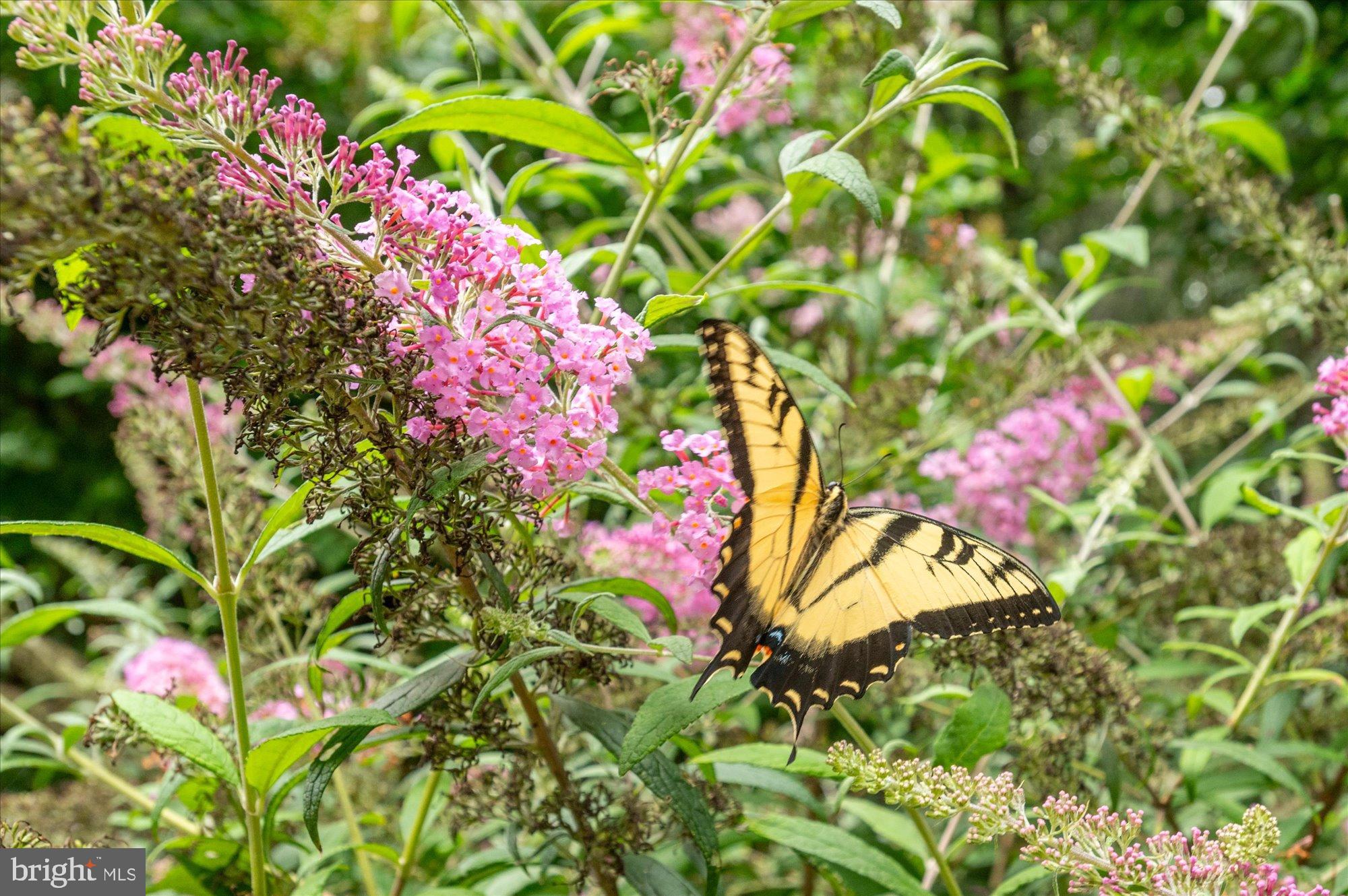 11308 STONEHOUSE PLACE